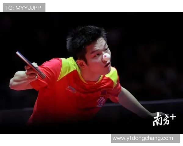 南京乒乓球队转型之路的挑战与机遇全面解析