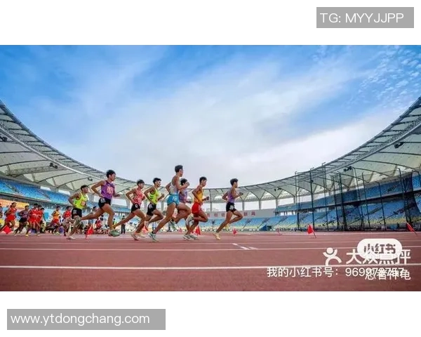 成都乒乓球队在城市联赛中的技术表现分析与点评