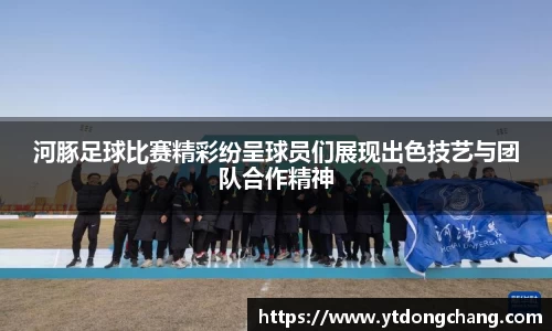 河豚足球比赛精彩纷呈球员们展现出色技艺与团队合作精神